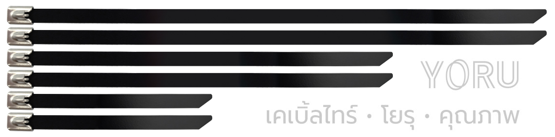 สแตนเลส 7.9 มิล พ่นสีดำ