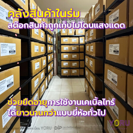 เคเบิ้ลไทร์สีม่วง